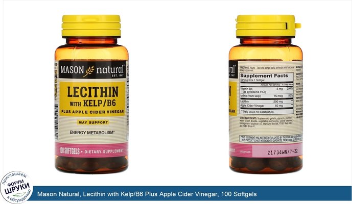 Mason Natural, Lecithin with Kelp/B6 Plus Apple Cider Vinegar, 100 Softgels