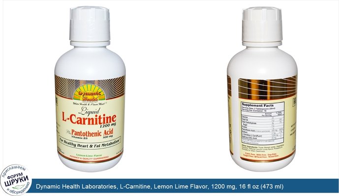 Dynamic Health Laboratories, L-Carnitine, Lemon Lime Flavor, 1200 mg, 16 fl oz (473 ml)