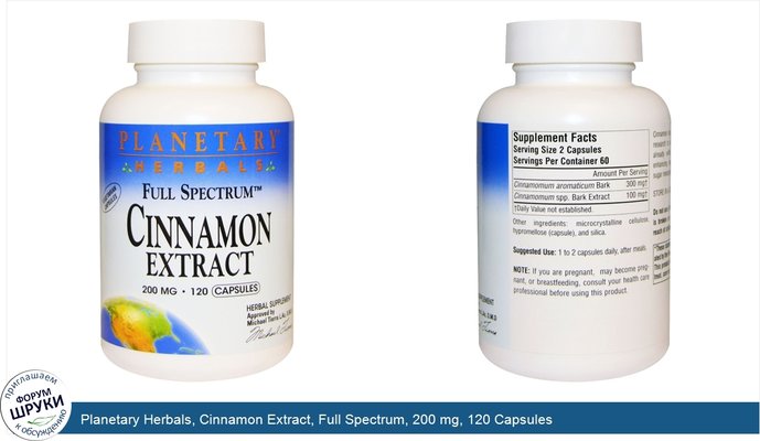 Planetary Herbals, Cinnamon Extract, Full Spectrum, 200 mg, 120 Capsules