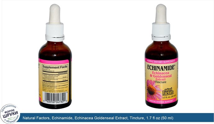 Natural Factors, Echinamide, Echinacea Goldenseal Extract, Tincture, 1.7 fl oz (50 ml)