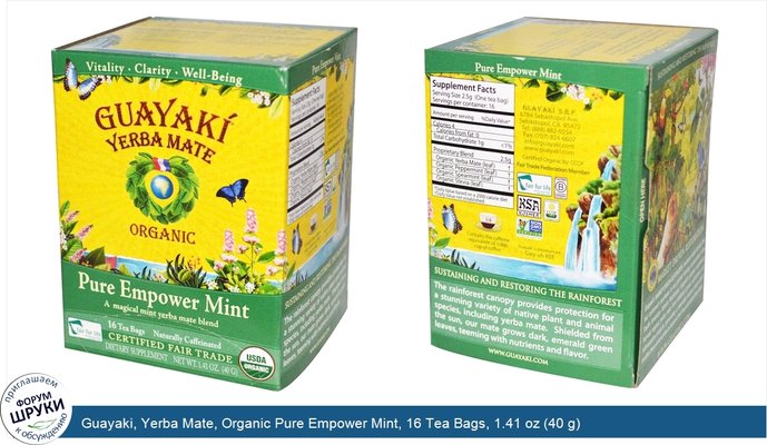 Guayaki, Yerba Mate, Organic Pure Empower Mint, 16 Tea Bags, 1.41 oz (40 g)