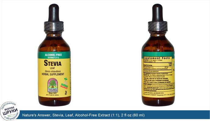 Nature\'s Answer, Stevia, Leaf, Alcohol-Free Extract (1:1), 2 fl oz (60 ml)