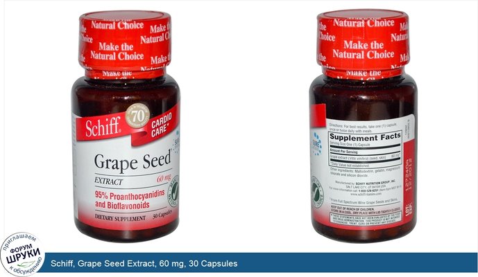 Schiff, Grape Seed Extract, 60 mg, 30 Capsules