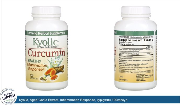 Kyolic, Aged Garlic Extract, Inflammation Response, куркумин,100капсул