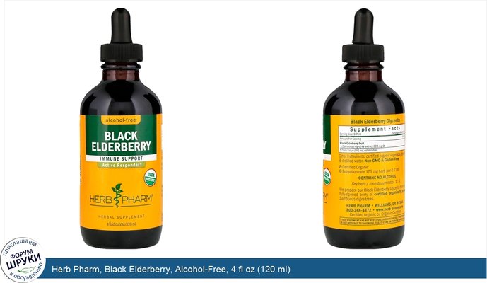 Herb Pharm, Black Elderberry, Alcohol-Free, 4 fl oz (120 ml)