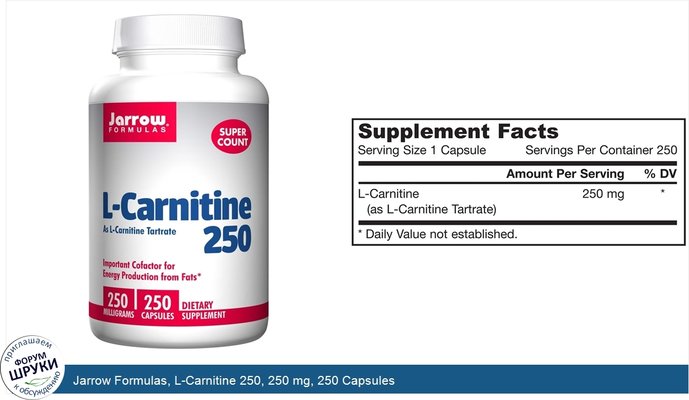 Jarrow Formulas, L-Carnitine 250, 250 mg, 250 Capsules