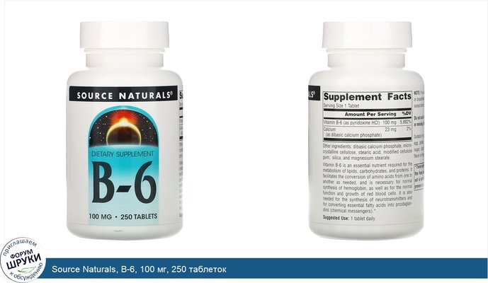 Source Naturals, B-6, 100 мг, 250 таблеток