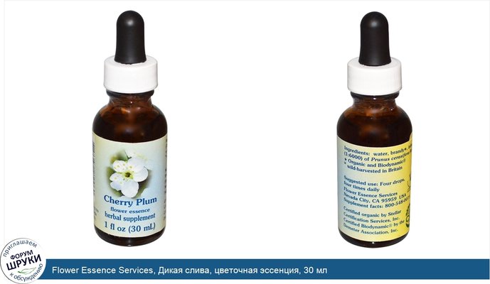 Flower Essence Services, Дикая слива, цветочная эссенция, 30 мл