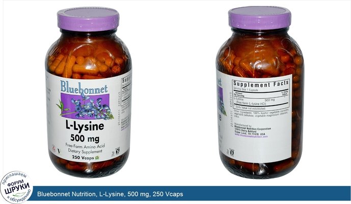 Bluebonnet Nutrition, L-Lysine, 500 mg, 250 Vcaps