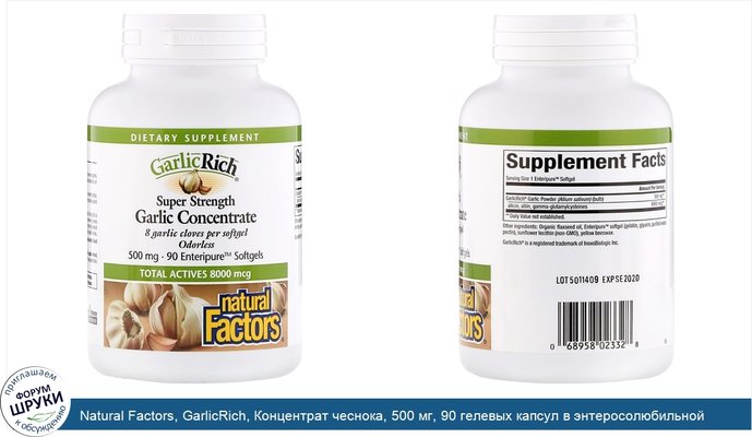 Natural Factors, GarlicRich, Концентрат чеснока, 500 мг, 90 гелевых капсул в энтеросолюбильной оболочке
