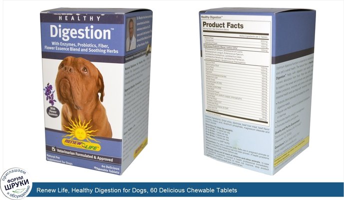 Renew Life, Healthy Digestion for Dogs, 60 Delicious Chewable Tablets