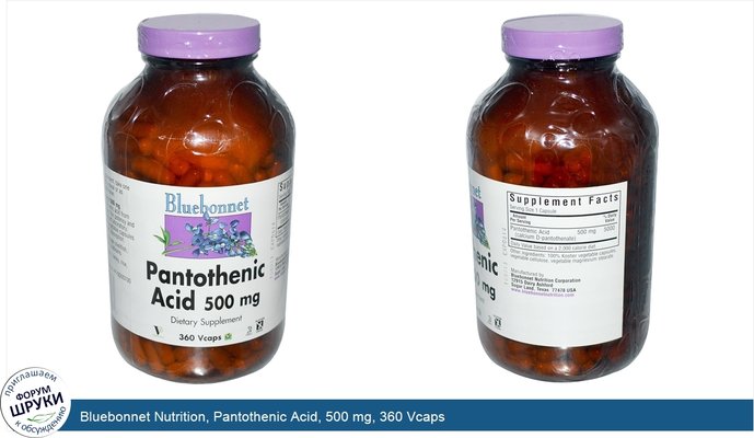Bluebonnet Nutrition, Pantothenic Acid, 500 mg, 360 Vcaps