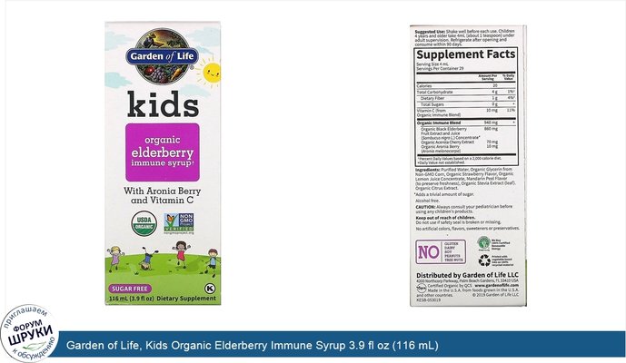 Garden of Life, Kids Organic Elderberry Immune Syrup 3.9 fl oz (116 mL)