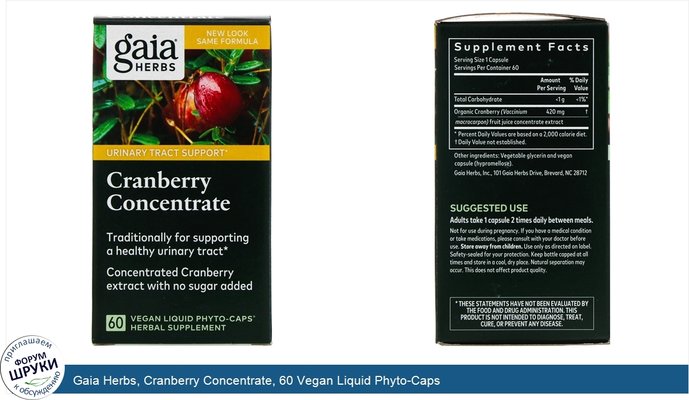 Gaia Herbs, Cranberry Concentrate, 60 Vegan Liquid Phyto-Caps