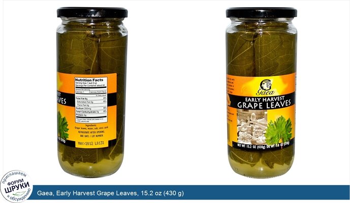 Gaea, Early Harvest Grape Leaves, 15.2 oz (430 g)