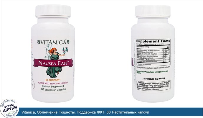Vitanica, Облегчение Тошноты, Поддержка ЖКТ, 60 Растительных капсул