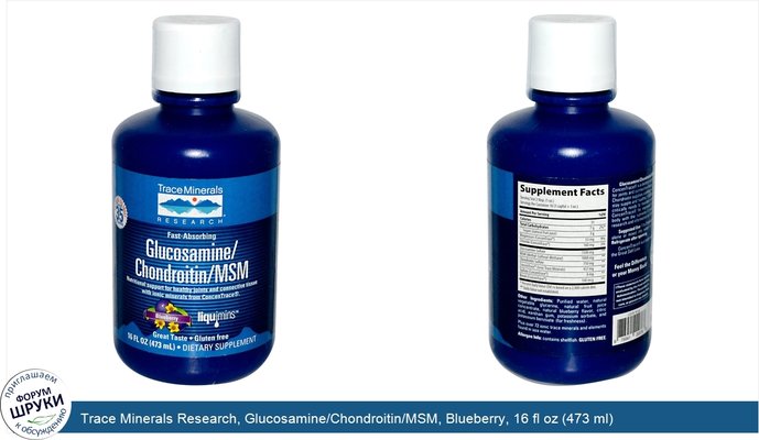 Trace Minerals Research, Glucosamine/Chondroitin/MSM, Blueberry, 16 fl oz (473 ml)