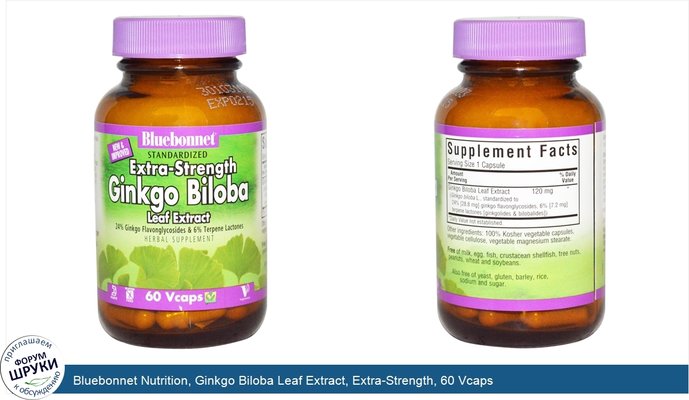 Bluebonnet Nutrition, Ginkgo Biloba Leaf Extract, Extra-Strength, 60 Vcaps