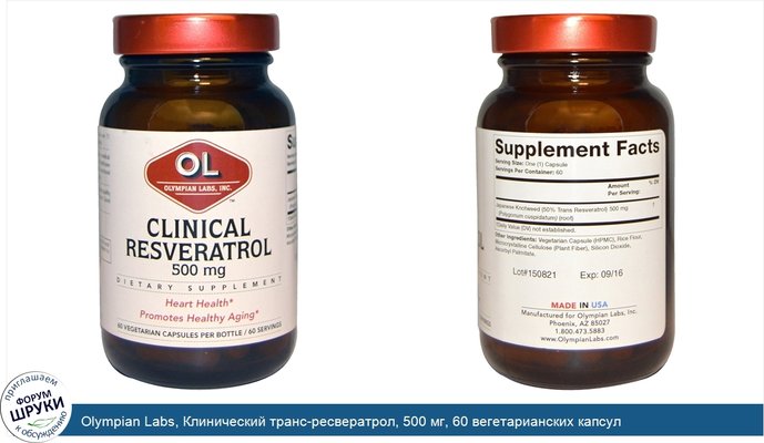 Olympian Labs, Клинический транс-ресвератрол, 500 мг, 60 вегетарианских капсул