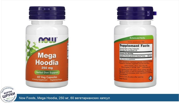 Now Foods, Mega Hoodia, 250 мг, 60 вегетарианских капсул