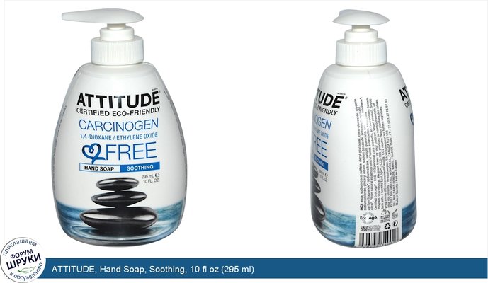 ATTITUDE, Hand Soap, Soothing, 10 fl oz (295 ml)