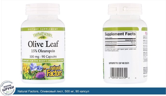 Natural Factors, Оливковый лист, 500 мг, 90 капсул