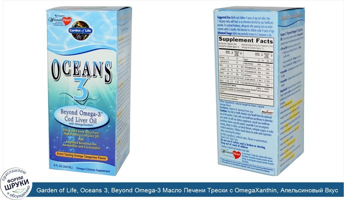 Garden of Life, Oceans 3, Beyond Omega-3 Масло Печени Трески с OmegaXanthin, Апельсиновый Вкус 8 жидких унции (240 мл)