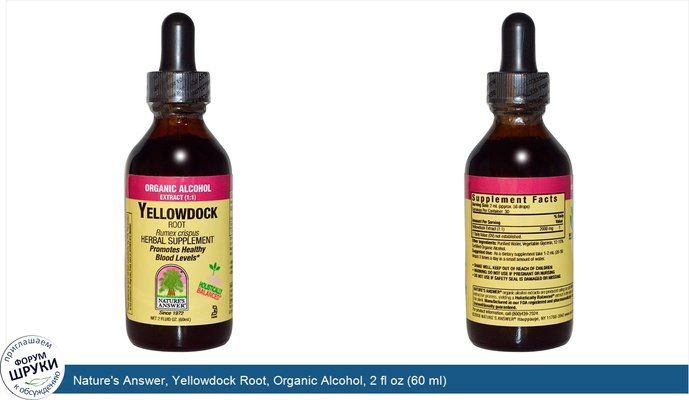 Nature\'s Answer, Yellowdock Root, Organic Alcohol, 2 fl oz (60 ml)