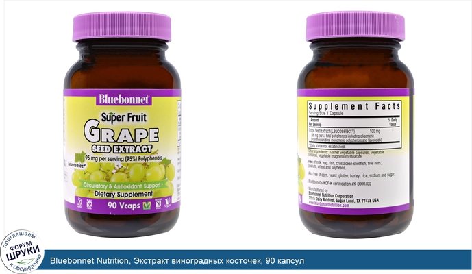 Bluebonnet Nutrition, Экстракт виноградных косточек, 90 капсул