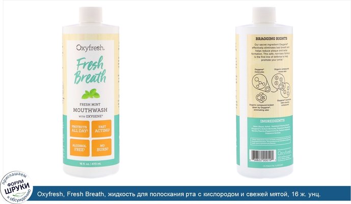 Oxyfresh, Fresh Breath, жидкость для полоскания рта с кислородом и свежей мятой, 16 ж. унц. (473 мл)