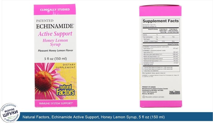 Natural Factors, Echinamide Active Support, Honey Lemon Syrup, 5 fl oz (150 ml)