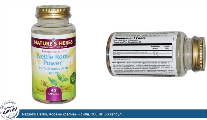 Nature\'s Herbs, Корень крапивы - сила, 300 мг, 60 капсул