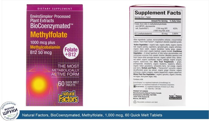 Natural Factors, BioCoenzymated, Methylfolate, 1,000 mcg, 60 Quick Melt Tablets