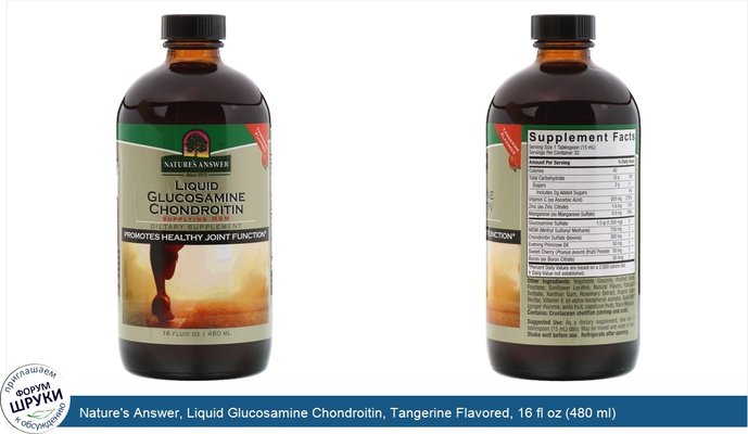 Nature\'s Answer, Liquid Glucosamine Chondroitin, Tangerine Flavored, 16 fl oz (480 ml)