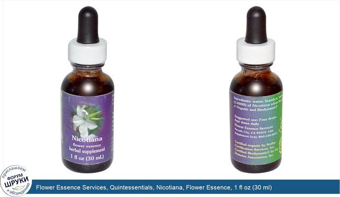 Flower Essence Services, Quintessentials, Nicotiana, Flower Essence, 1 fl oz (30 ml)