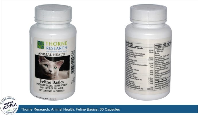 Thorne Research, Animal Health, Feline Basics, 60 Capsules