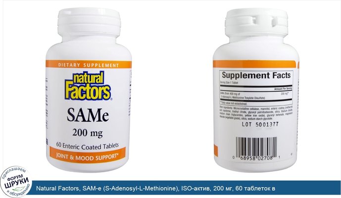 Natural Factors, SAM-e (S-Adenosyl-L-Methionine), ISO-актив, 200 мг, 60 таблеток в кишечнорастворимой оболочке