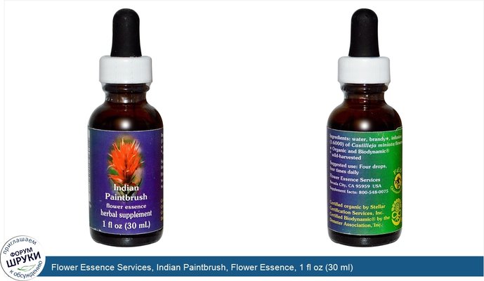 Flower Essence Services, Indian Paintbrush, Flower Essence, 1 fl oz (30 ml)