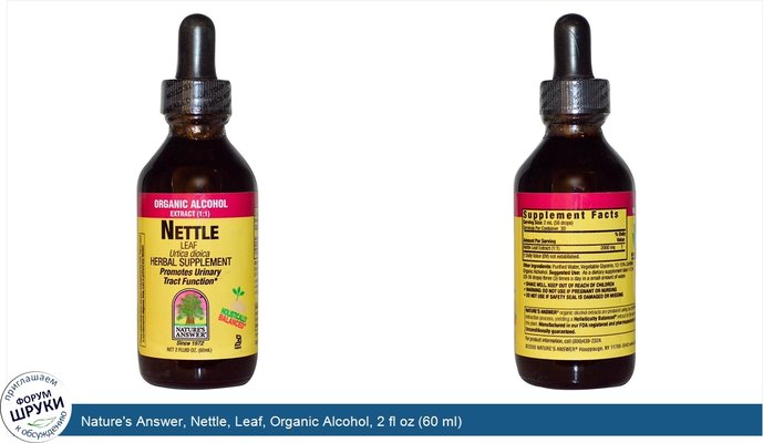 Nature\'s Answer, Nettle, Leaf, Organic Alcohol, 2 fl oz (60 ml)
