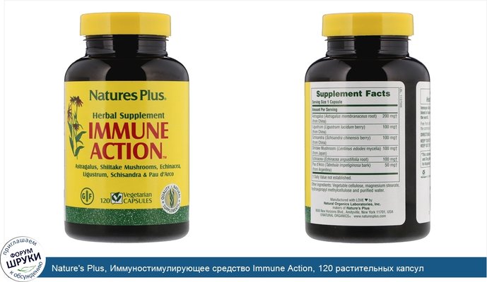 Nature\'s Plus, Иммуностимулирующее средство Immune Action, 120 растительных капсул