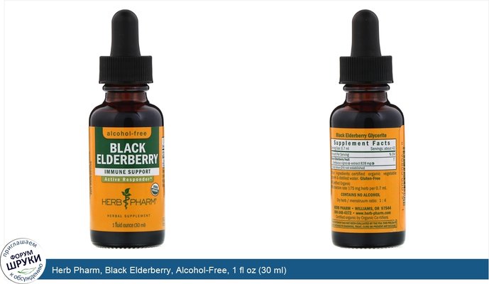 Herb Pharm, Black Elderberry, Alcohol-Free, 1 fl oz (30 ml)