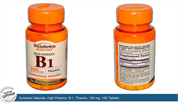 Sundown Naturals, High Potency, B-1, Thiamin, 100 mg, 100 Tablets