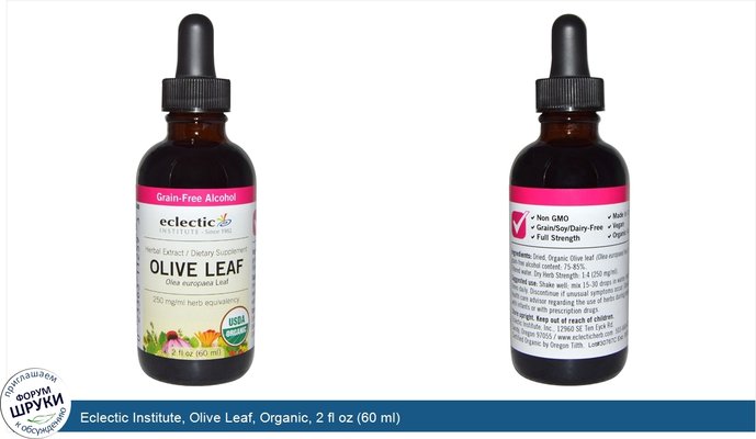 Eclectic Institute, Olive Leaf, Organic, 2 fl oz (60 ml)