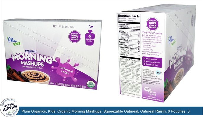 Plum Organics, Kids, Organic Morning Mashups, Squeezable Oatmeal, Oatmeal Raisin, 6 Pouches, 3.17 oz (90 g) Each