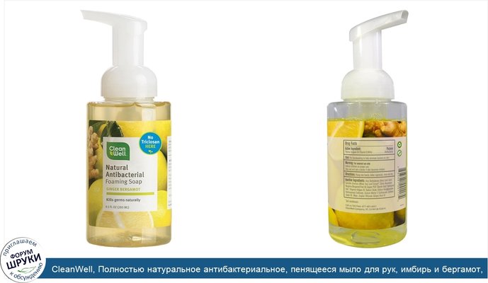 CleanWell, Полностью натуральное антибактериальное, пенящееся мыло для рук, имбирь и бергамот, 9.5 жидких унций (280 мл)