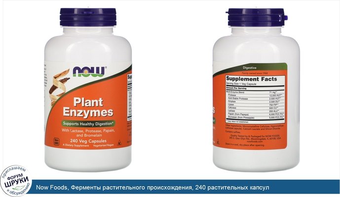 Now Foods, Ферменты растительного происхождения, 240 растительных капсул