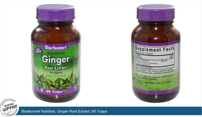 Bluebonnet Nutrition, Ginger Root Extract, 60 Vcaps