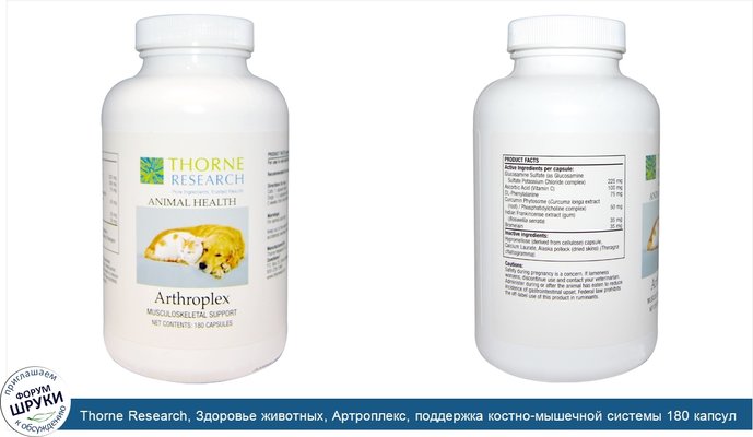 Thorne Research, Здоровье животных, Артроплекс, поддержка костно-мышечной системы 180 капсул