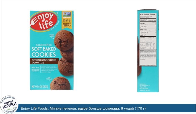 Enjoy Life Foods, Мягкие печенья, вдвое больше шоколада, 6 унций (170 г)