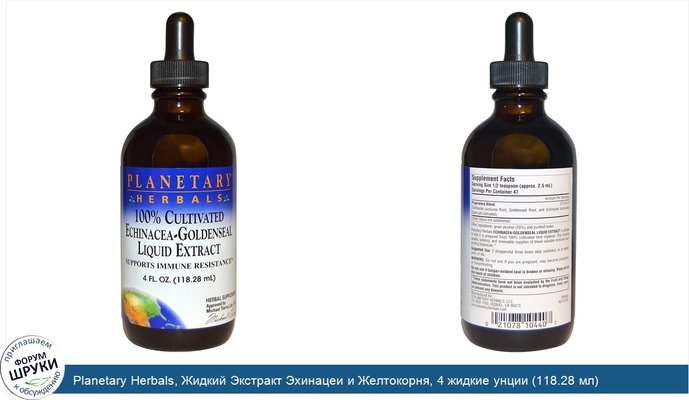 Planetary Herbals, Жидкий Экстракт Эхинацеи и Желтокорня, 4 жидкие унции (118.28 мл)